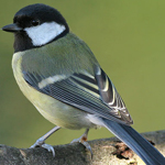 �� �������� �� �� ����� ��� ����� ����� ����������