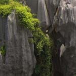 ���� �� ��� ������