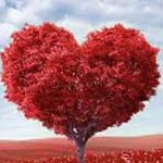 ���� �� ���� �� ���� ����� ���� ��� ������