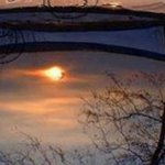 �� ���� ������