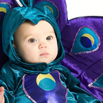 �� ���� ����� �������