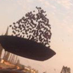 �� �� ������ ����� ������ ������ ��� ...