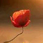 ����� ������ ������� �������� ������� ��������� ��������