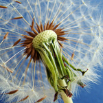 ��� ������ ����� ������ ��������