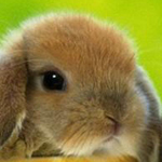 �� ���� �� �����