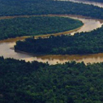 ��� ��������