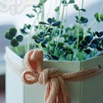 �� ��� �� ����� ���� �����