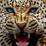 ��� �� �� ��� ���� ������  ���� ��� ����