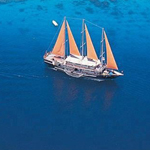 ����� �������