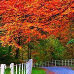 ����� ����� ���� ������� �� ����� �����