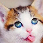 ��� ����� ������� ����� �����..