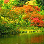 ������� �������