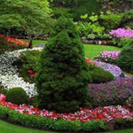 ����� �����