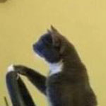 ��� ��  ��