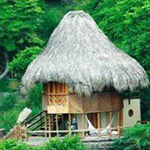 ��� ��� ���� ���� ��� ����