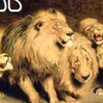 ���� ������ ���� �����