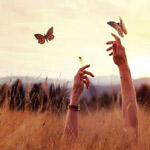 ���� ����� ���� ���� ���� ����