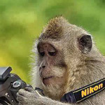 ��� �� ����