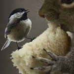 ������ ������