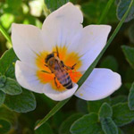 �� �� ����� �����: ������ ������ ����...