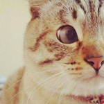 ������ ������ ����!!