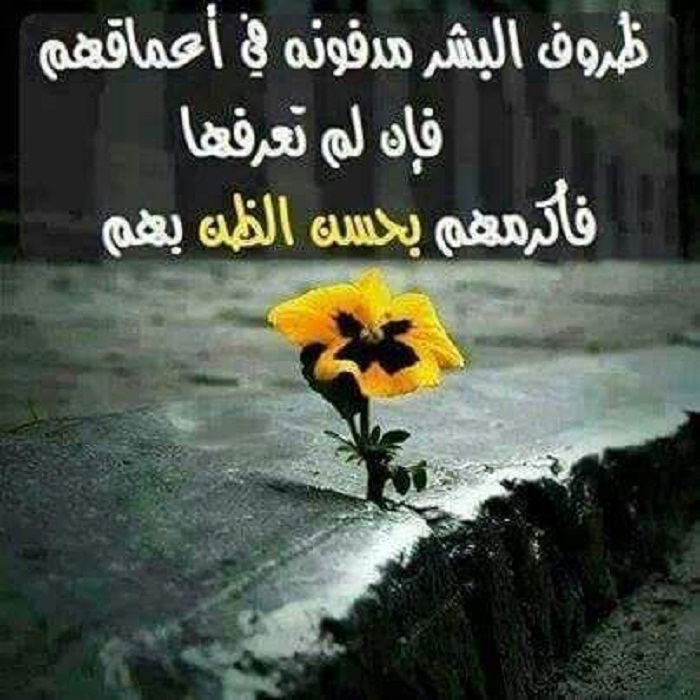 اقوال وطرائف صورة 2