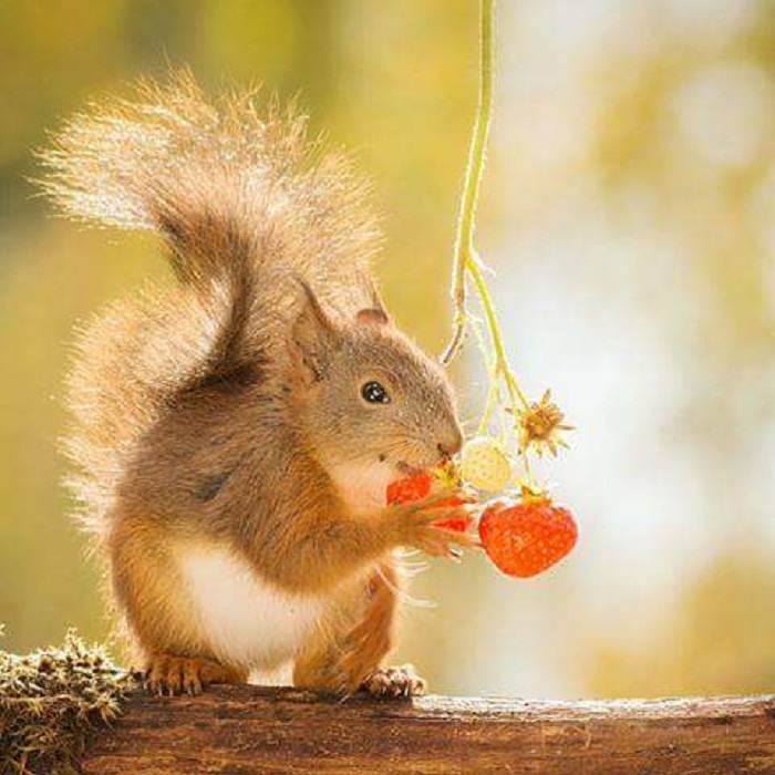 �� ����� ��� ���� ���� ��� �����