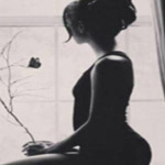 ��� ����� ����� ������