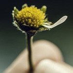 �� ����� �������