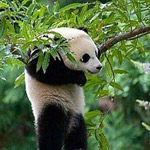 ��� ��� ��� ��� �� ������