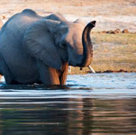 اقوال وطرائف رقم 1