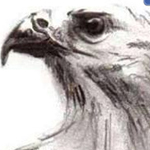 ���� �����