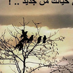 ������ ��� ����� ����� ������� �� ������ 