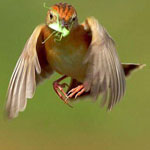 ��� �� ������� ������ ����� ������:-(