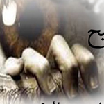 ����� ������ ���� ����� ����� ���