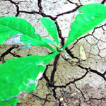 ������ ���� ���� ������ɡ ��� �� ��� ��� ���� ���� �� ���