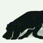 ����� ������ ����� ����