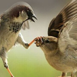 ��� ����� �� �� ���� �����