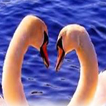 ���� ���