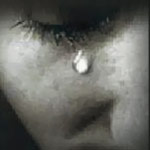 �������� �����  �����