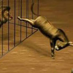 ������� ������