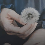 ���� ������� ���� ����