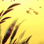 اقوال وطرائف صورة 2