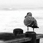 ����� ����� �� ���� ����ѿ ��� ��� �� �����俿 