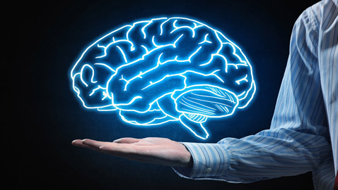10 معلومات مدهشة عن الدماغ البشري الجزء الأكثر تعقيدا بجسم الإنسان