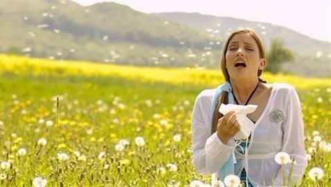 حساسية الأنف.. جحيم طوال فصل الربيع