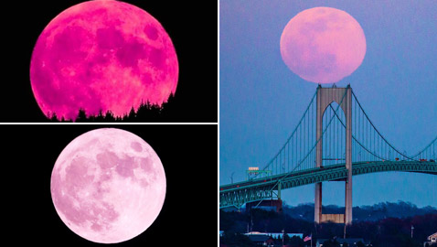 ظهور القمر الوردي بأبهى حلله.. أول بدر وظاهرة فلكية خلال الربيع! صور