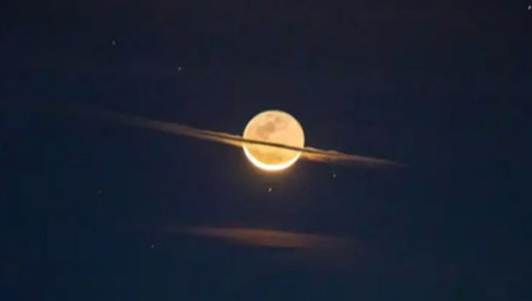 صور مفاجئة تصيب من يشاهدها بالذهول